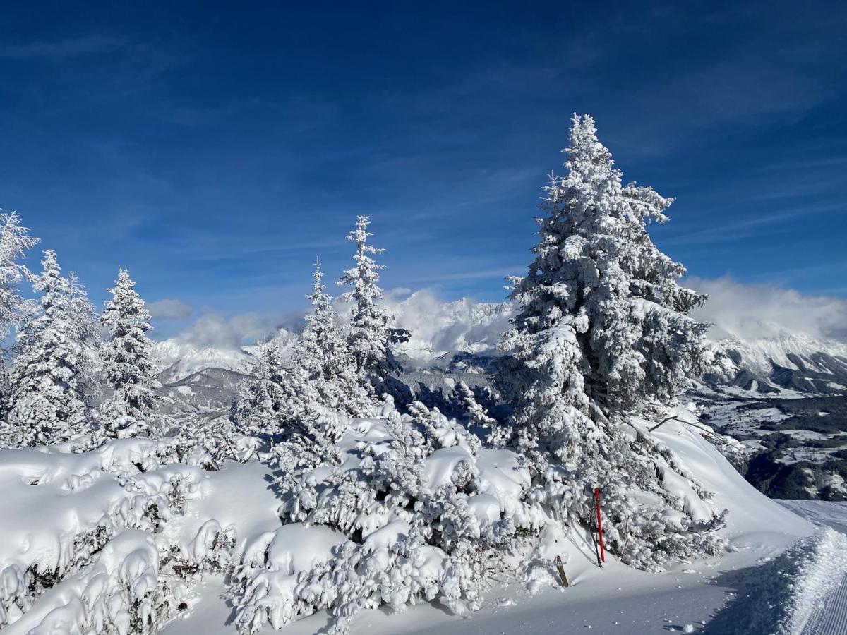 Reiteralm Schladming